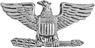 Colonel